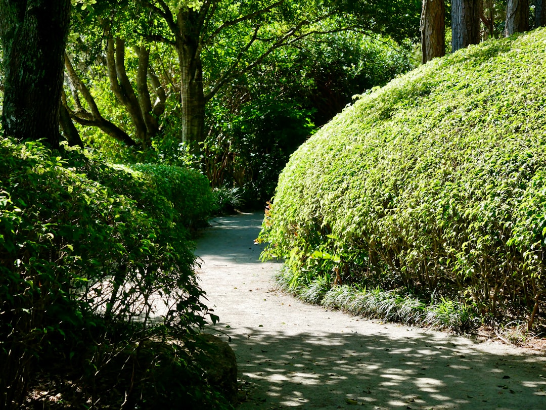 Un chemin de jardin magnifiquement aménagé avec des dalles de pierre de forme irrégulière, entouré de verdure luxuriante.