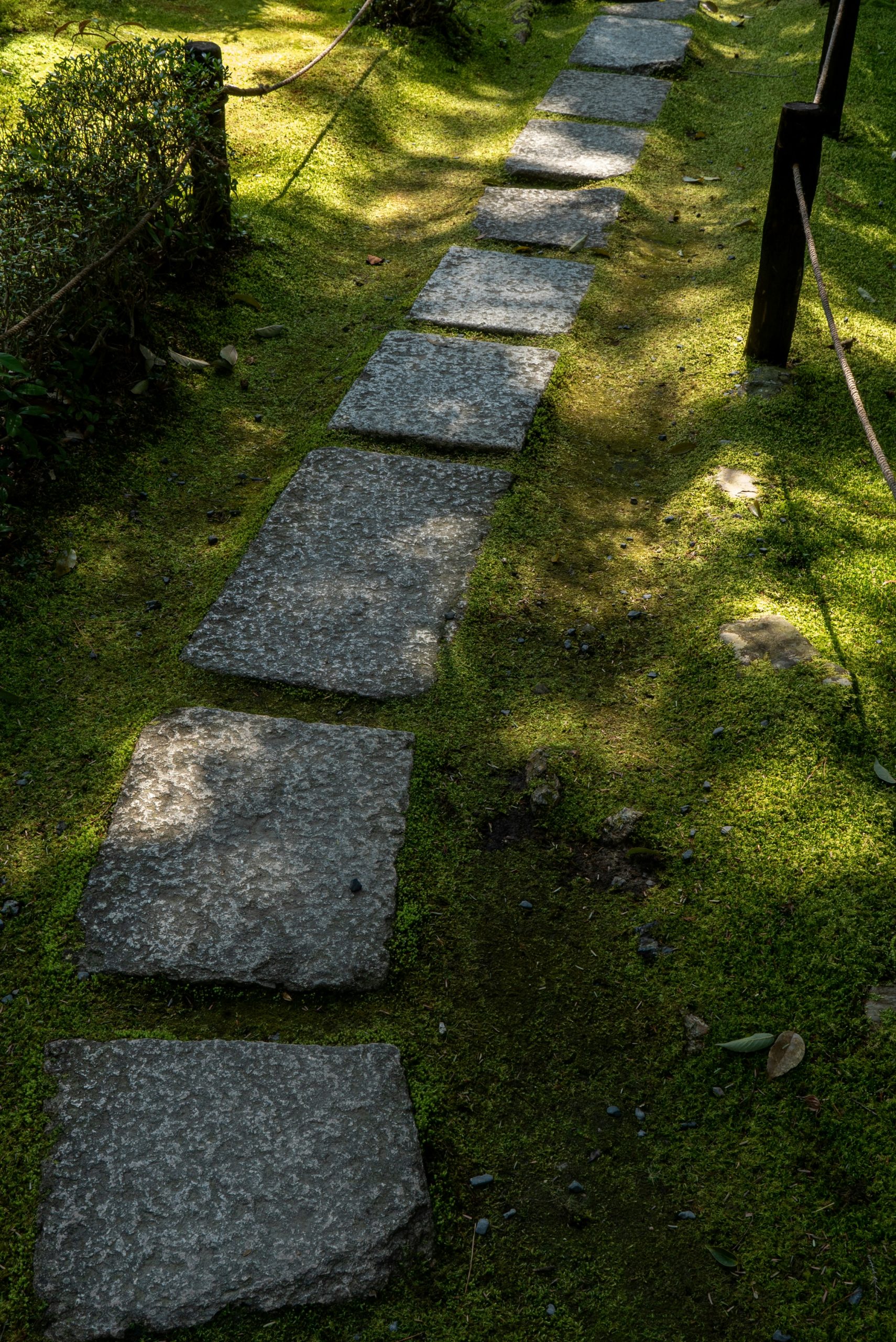 Des pavés de granit gris soigneusement posés pour former une allée de jardin sinueuse.