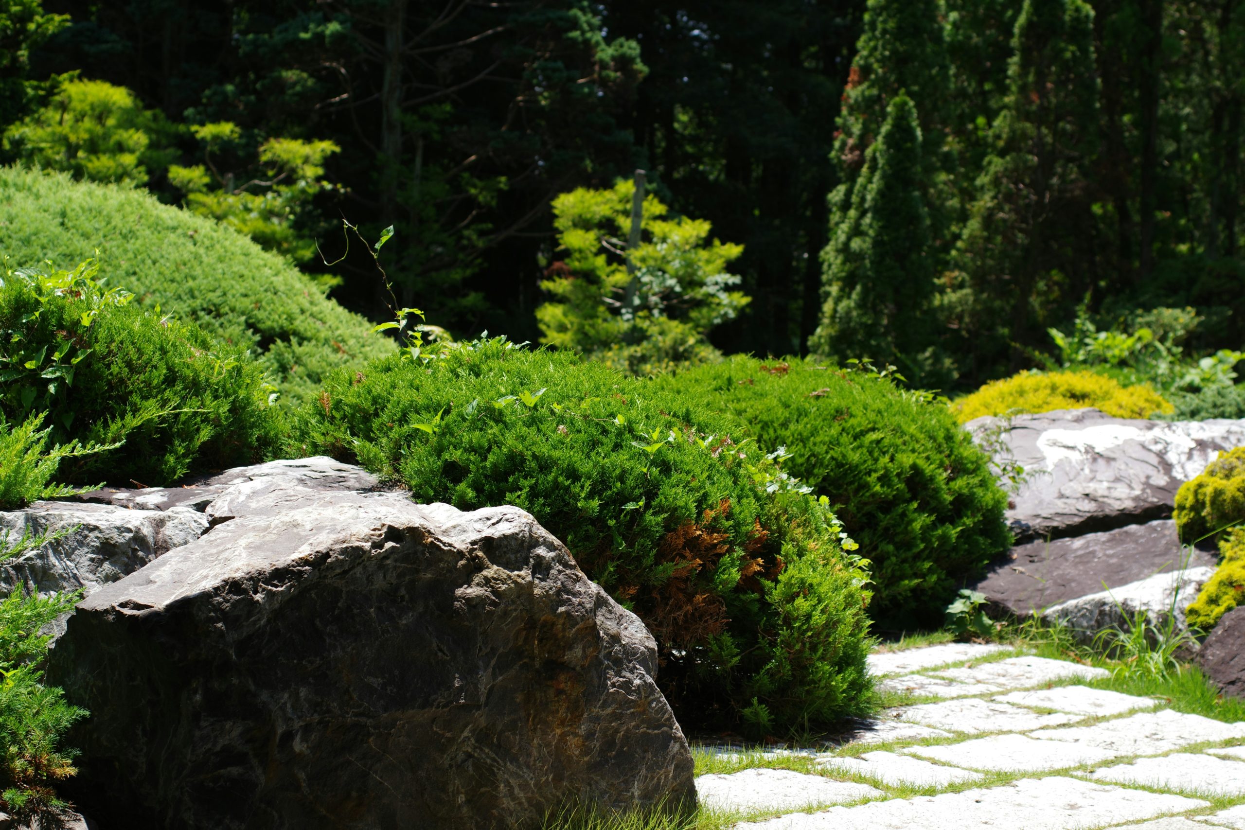 Beautiful clean luxury terrace with natural stone steps and pavers in a swiss garden