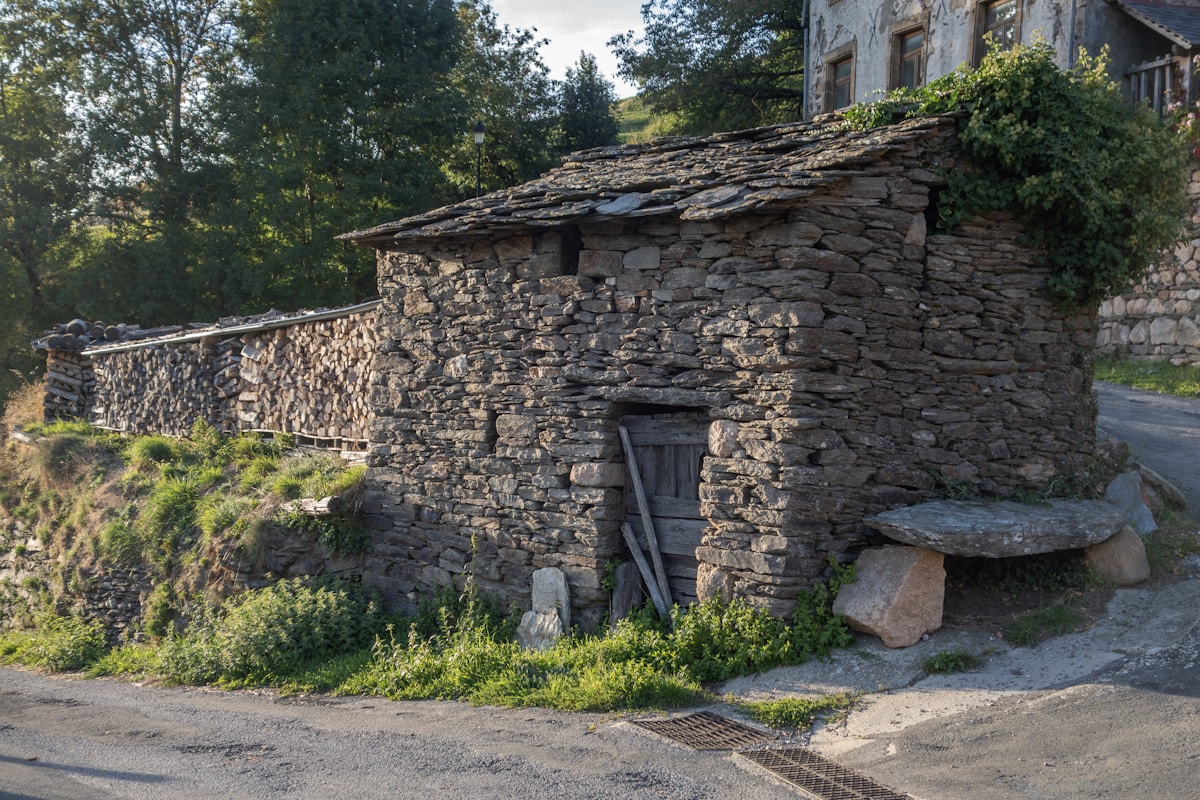 Old stone building with wooden door and overgrown roof.