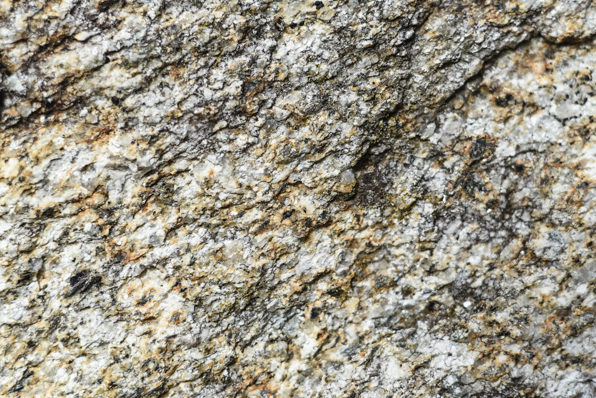 a close up of a rock with a small insect on it