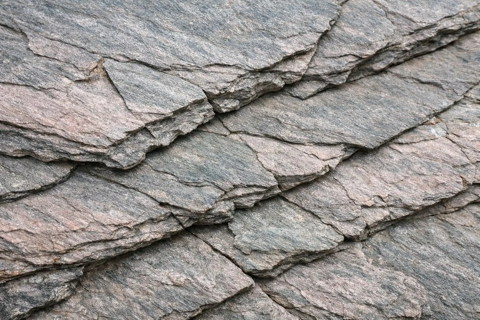 Close-up detailed view of layered aged phyllite stone showing natural split planes and mineral texture, demonstrating structural properties and fine regular layering in neutral daylight, no text