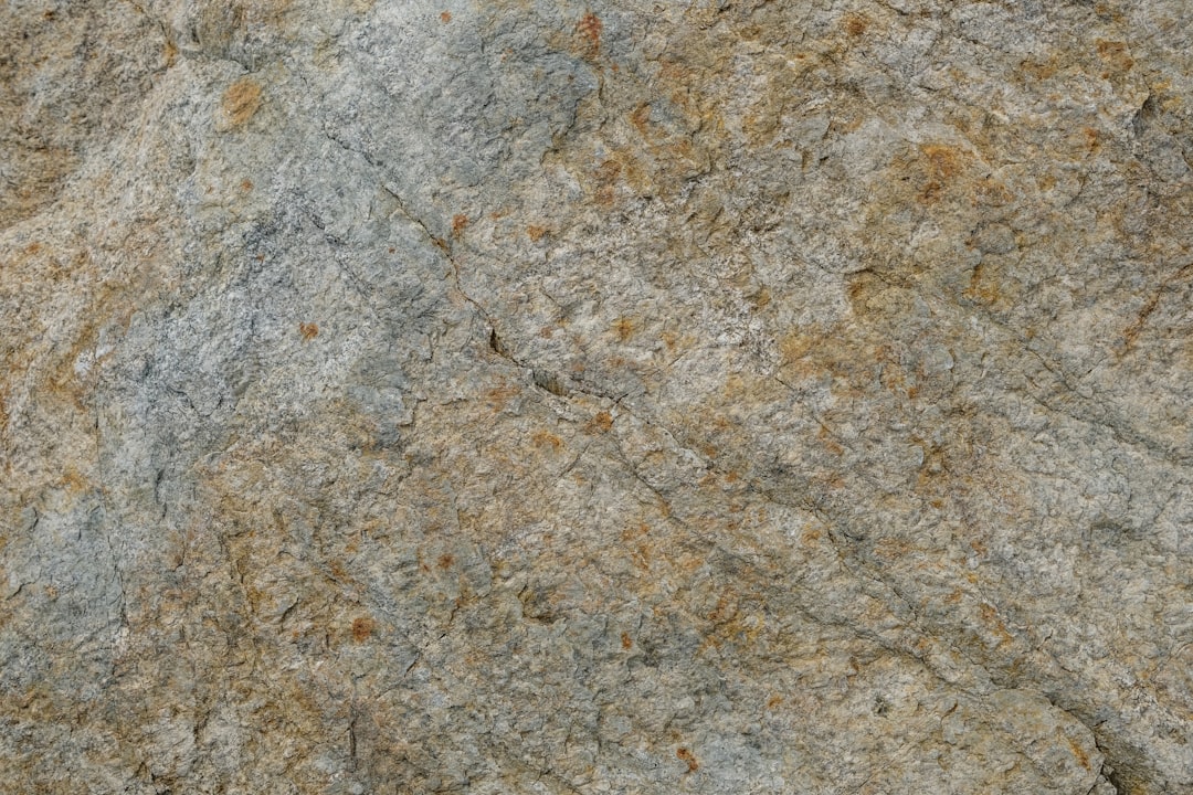 Gros plan : oiseau sur une roche, évoquant les avantages inconvénients marbre granit.