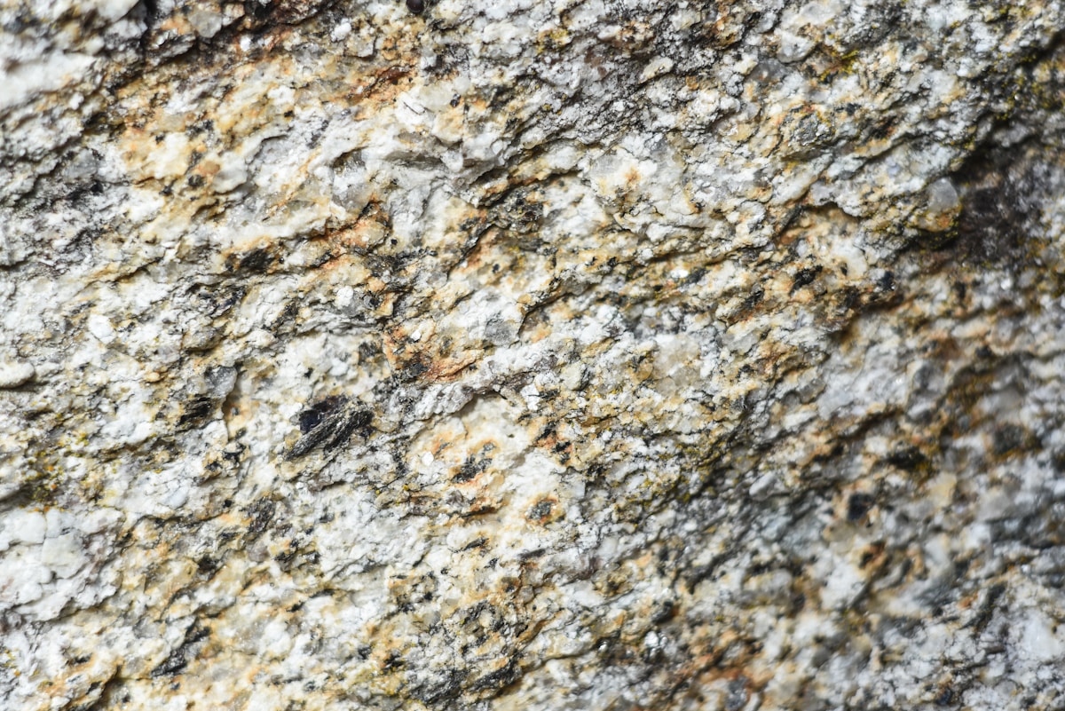 a close up of a rock with a bird on it