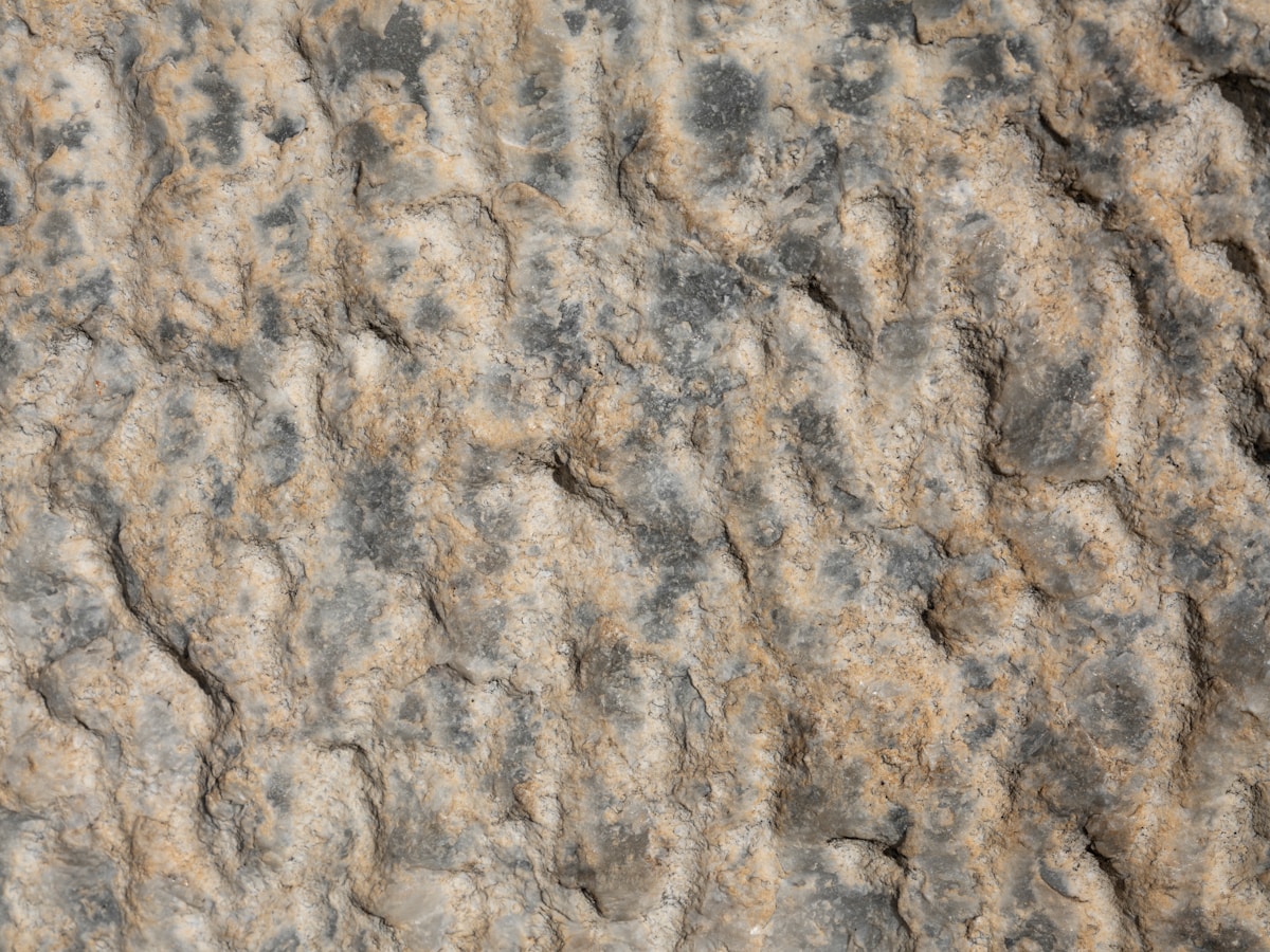 a close up view of a rock texture