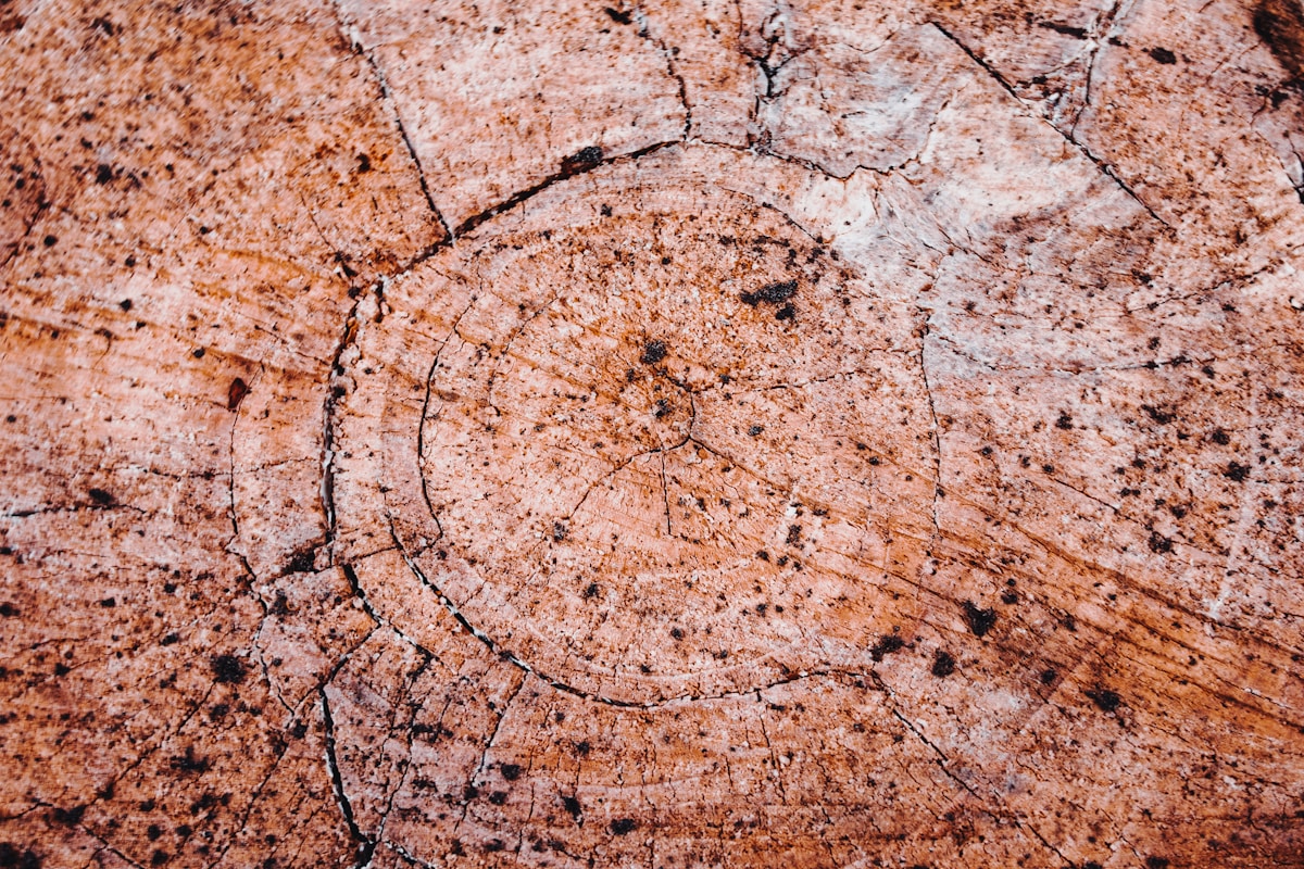 A close up of a rock with a circle on it