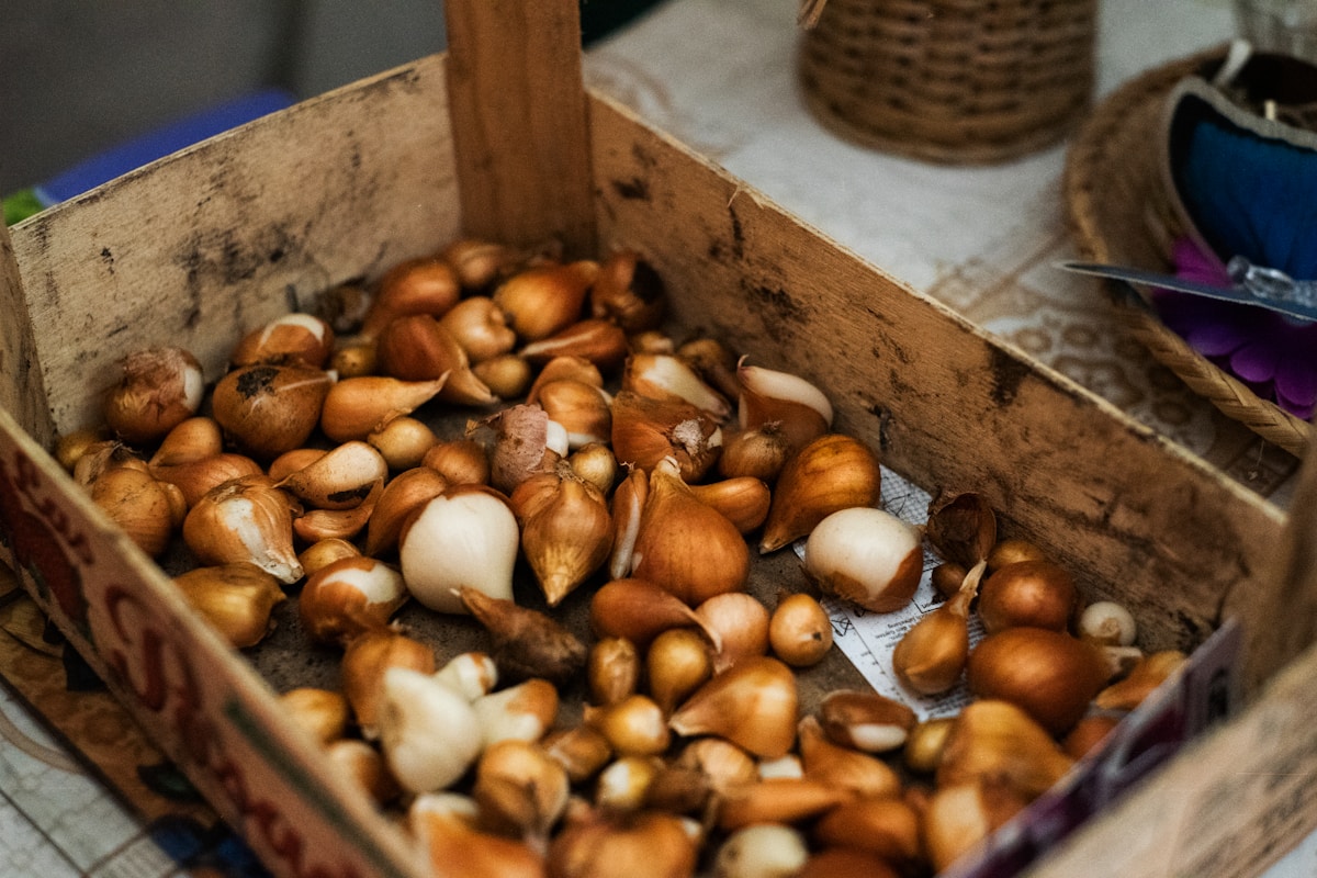 a box filled with lots of nuts on top of a table