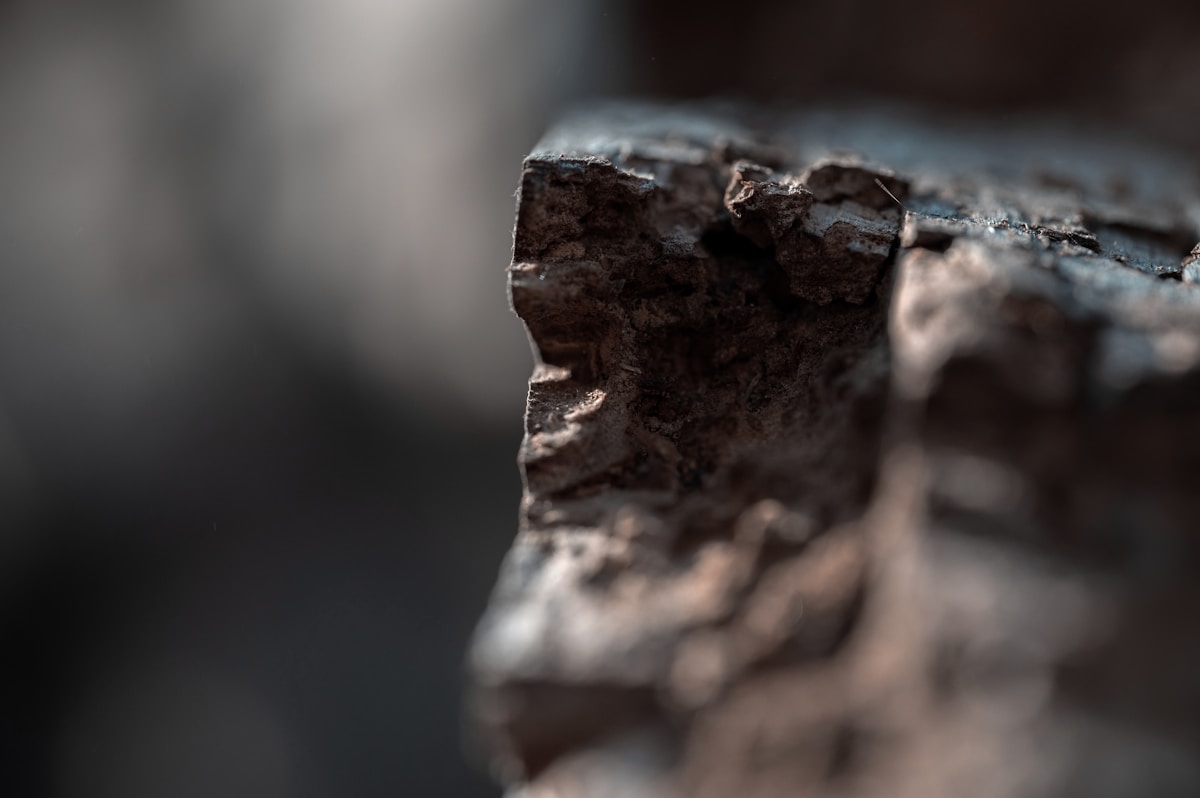 A close-up of a textured, weathered rock.