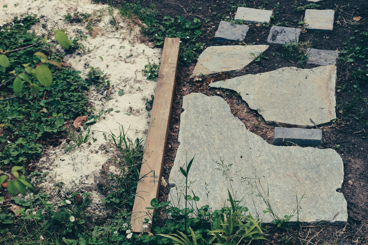 Sentier de jardin avec pierres et plantes sauvages.