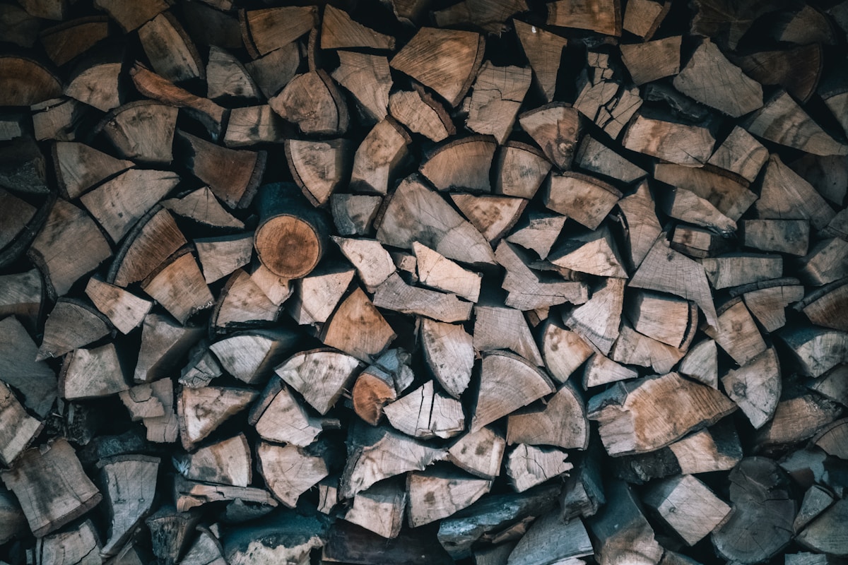 Bûches de bois empilées, textures et couleurs naturelles.
