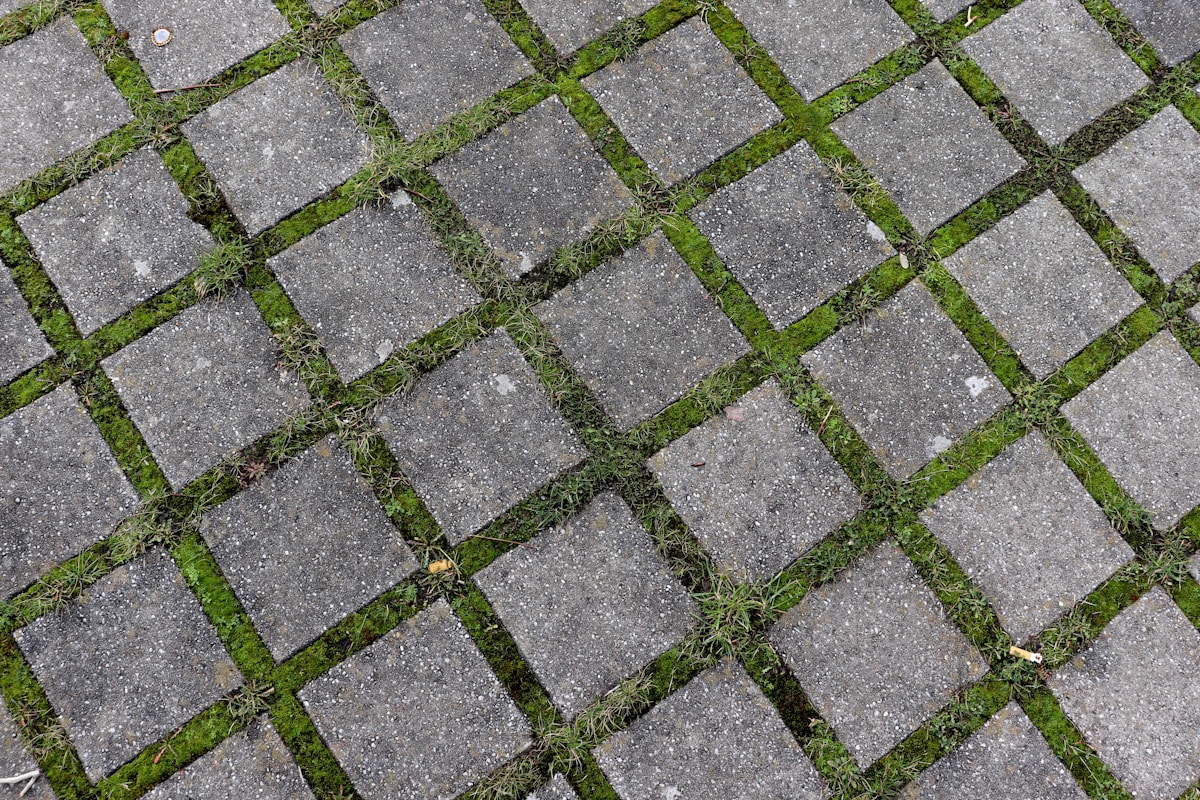 Carreaux de pierre gris avec de la mousse verte entre eux.