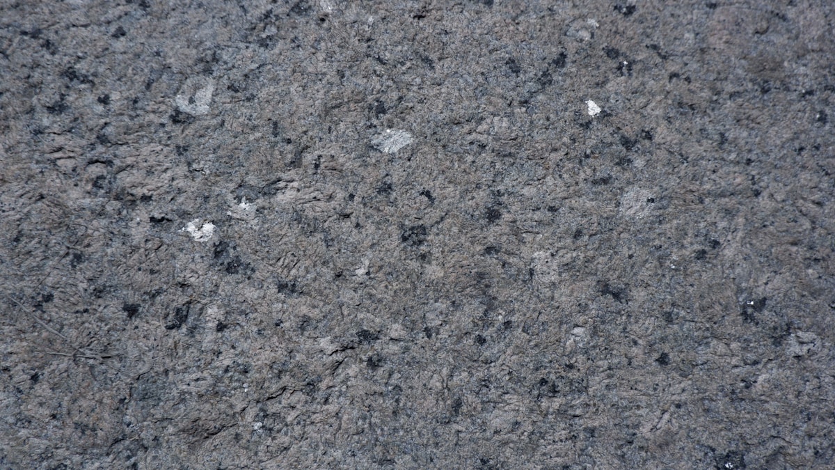Texture de roche grise et noire avec des inclusions minérales.