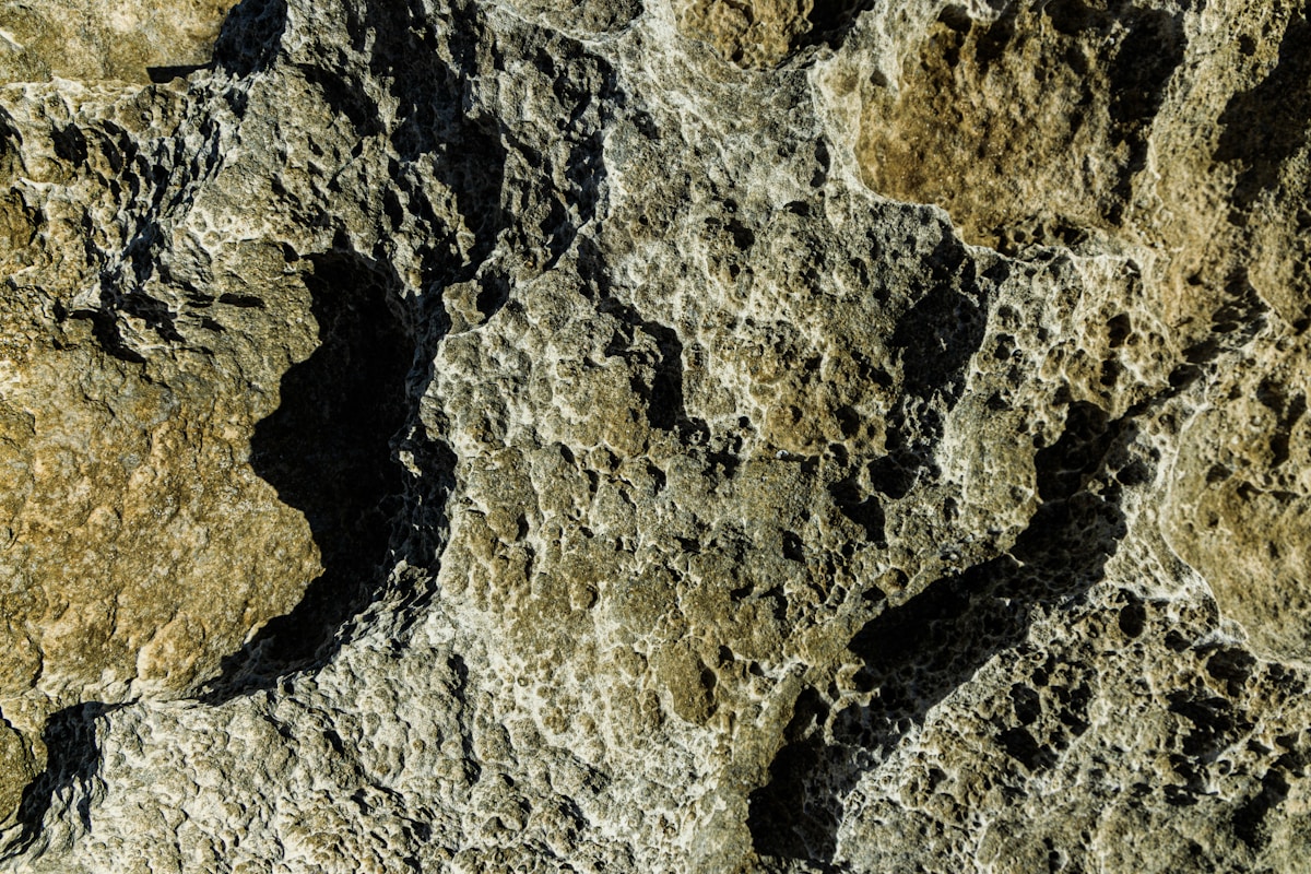 Texture rocheuse irrégulière avec des motifs et des cavités complexes.