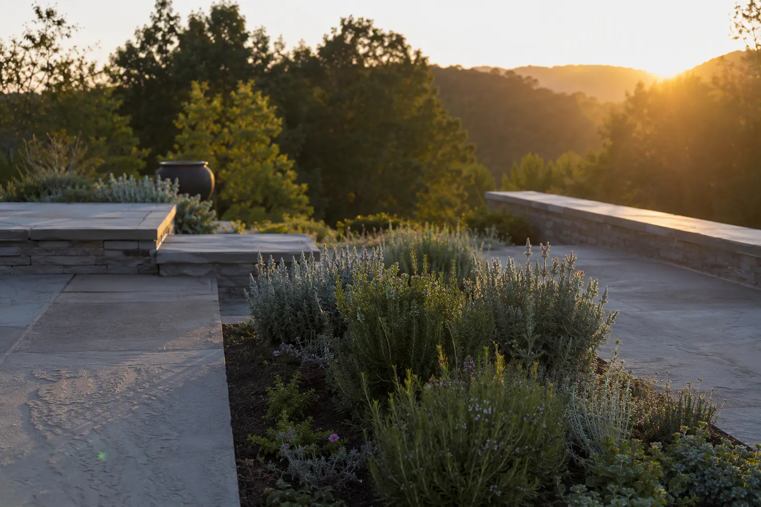 Jardin contemporain avec parterres de pierre de Luserna et plantes aromatiques sous la lumière du coucher de soleil.